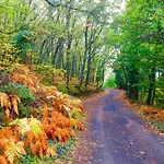Mi Valle Rural Prázdninový dům