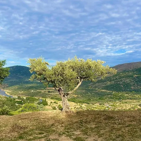 Mi Valle Rural 펜션 Casas del Castañar