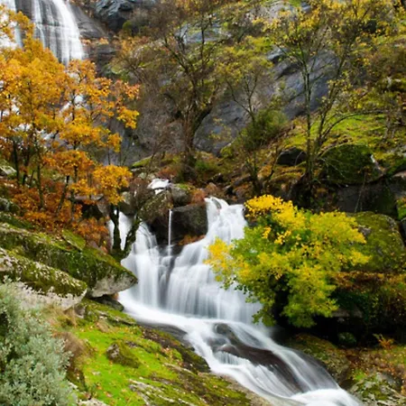 Mi Valle Rural *