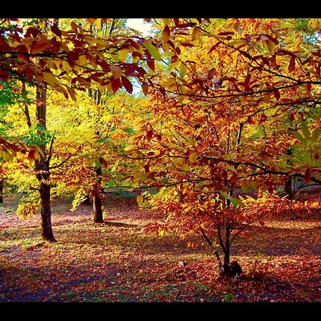Σπίτι διακοπών Mi Valle Rural Casas del Castañar
